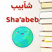 شآبيب Sha'abeb