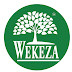 logo Wekeza