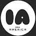 logo INNA AMERICA