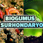 BIOGUMUS SURHONDARYO