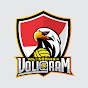 voligram channel