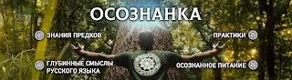 Осознанка славянский образовательный проект