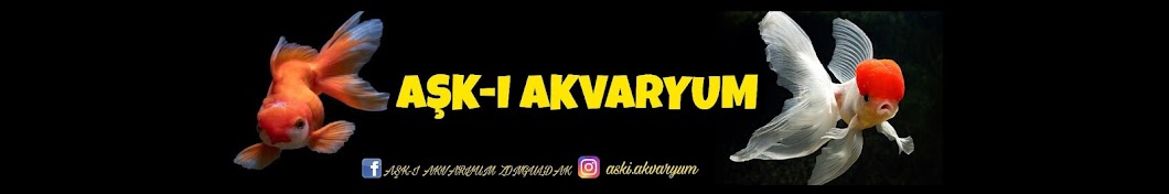 AŞK-I AKVARYUM