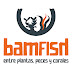 Bamfish