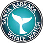 Santa Barbara Whale Watch