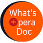 What's Opera Doc - For Professional Opera Singers