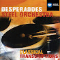 Witco Desperadoes Steel Orchestra/Trevor 