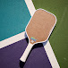 Pickleball Eco Sytem