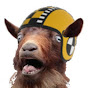 Crash Test Goat