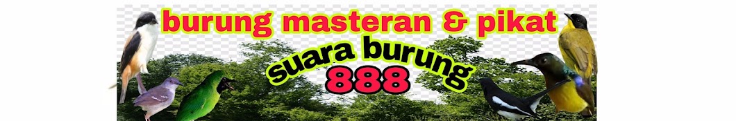 SUARA BURUNG 888