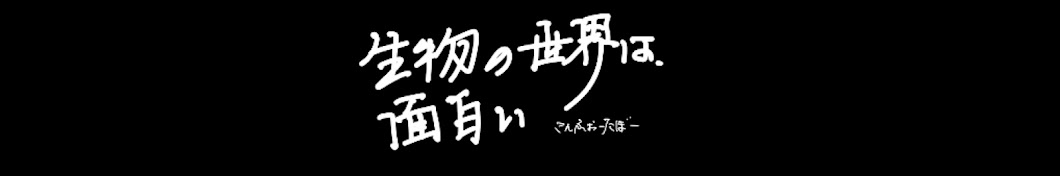 こんふぉーたぼー 生物系youtuber