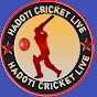 Hadoti cricket live