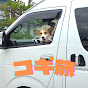 Kogi trip Van life traveling with Corgi