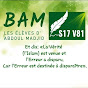 Bam 17V81