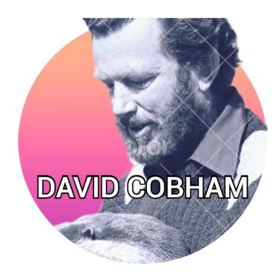 David Cobham