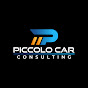 Piccolo Car Consulting_