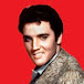 The Real Elvis Presley