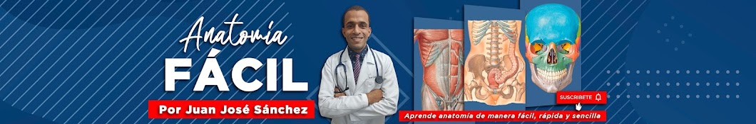 Anatomía Fácil por Juan José Sánchez Banner