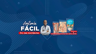 «Easy Anatomy by Juan José Sánchez» youtube banner