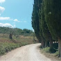 Tuscan Scenic roads