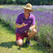 The Lavender Farmer