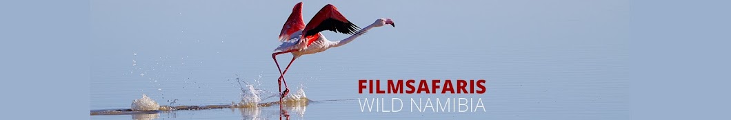 Conservation Film Foundation