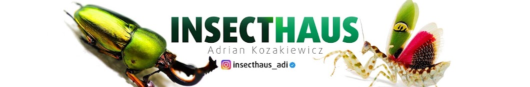 InsecthausTV Banner