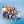 Itsabuzzworld avatar