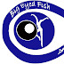 Big Eyed Fish