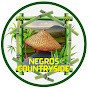 Negros Countryside