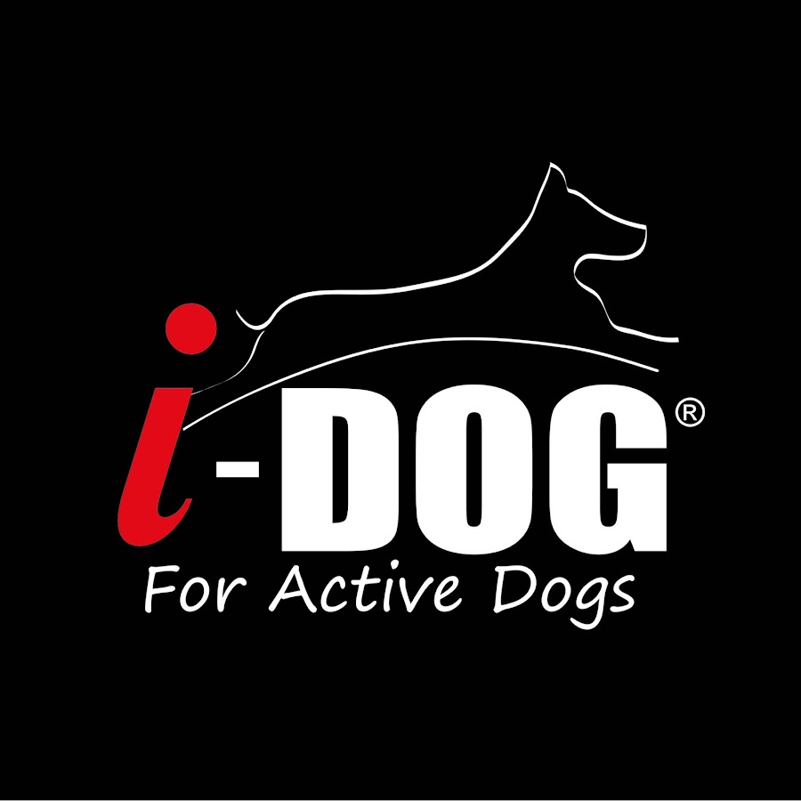 Запросы active dog. IDOG. Dog Action.
