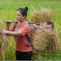 Lý Bảo An