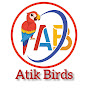 Atik Birds and vlogs