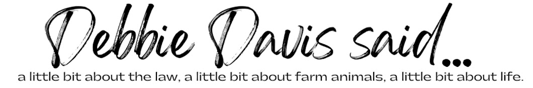 Debbie Davis said... Banner