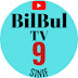 BilBul TV 9. Sınıf