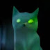 Catghost