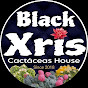 Black Xris 'Cactáceas House' (Sucus-Cactus-Agaves)