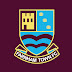 logo Farnham Town FC