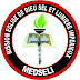 MEDSELI FM