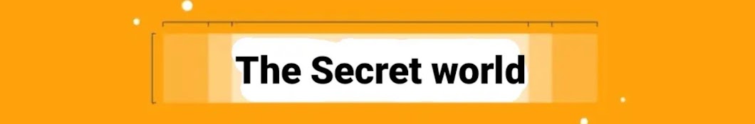 The secret world 