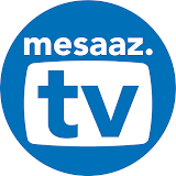 Mesa, Arizona logo