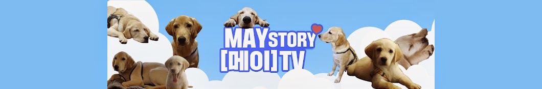 메이TV MAYstory