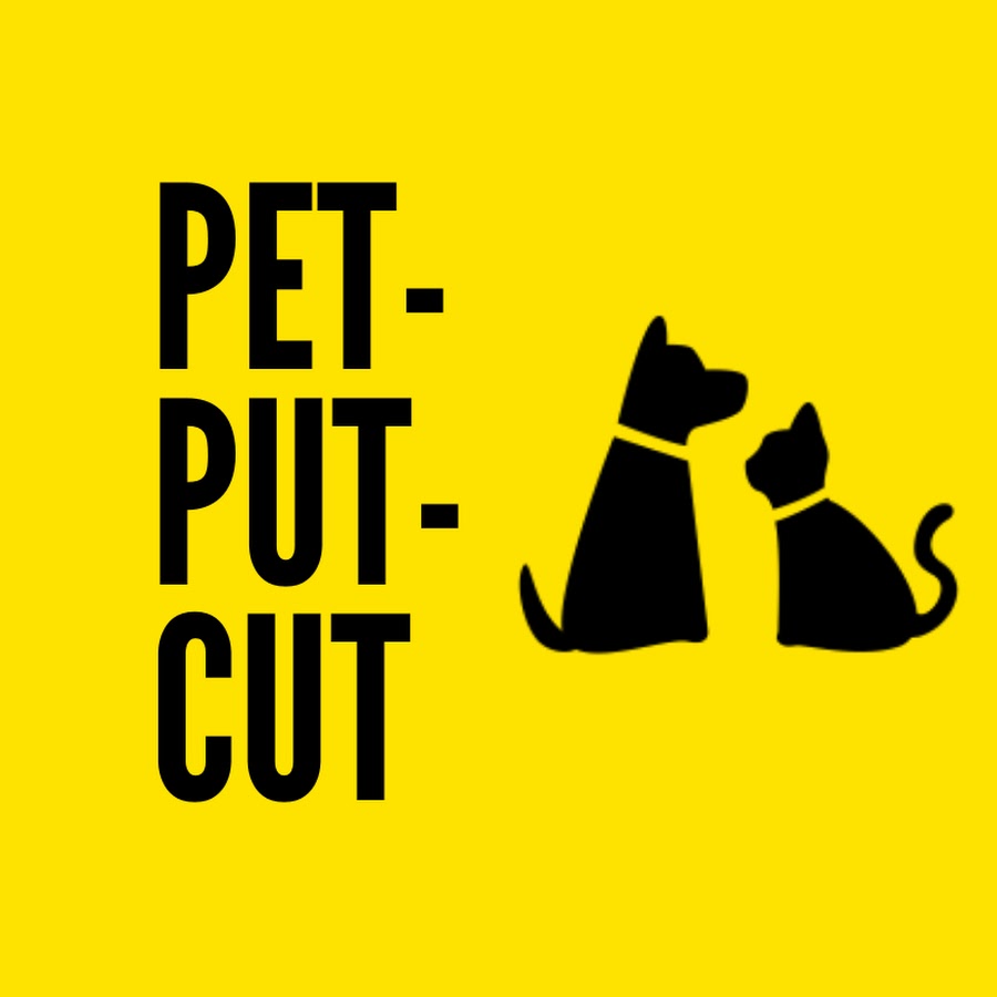 Pet-Put-Cut - YouTube