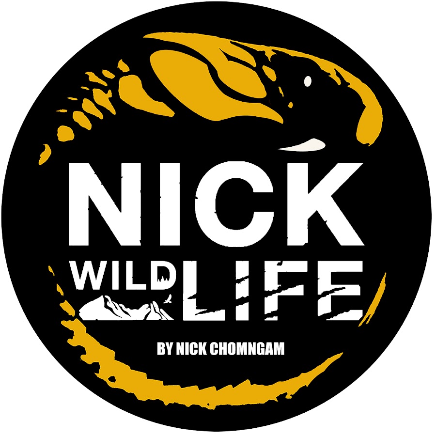 Nick Wildlife @NickWildlife