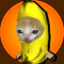 Banana Cattoons