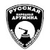 logo Дружина