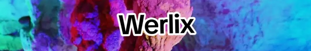 Werlix_oficial