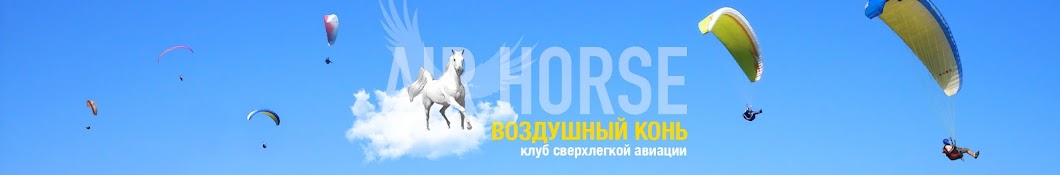 Михаил Астахов (airhorse.su)