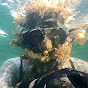 Beybala Spearfishing