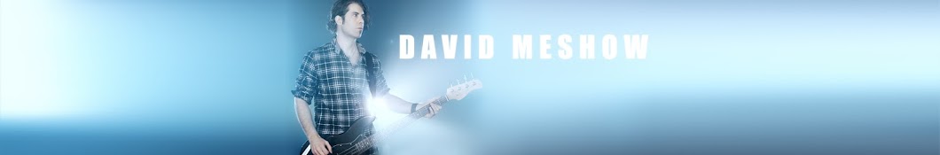 David MeShow Banner